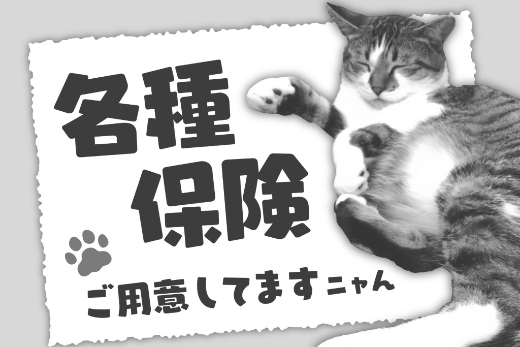 Insurance各種保険